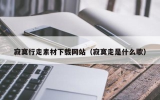 利津寂寞行走素材下载网站（寂寞走是什么歌）